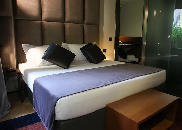 Hotel Triviho Rome